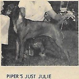 Piper's Just Julie