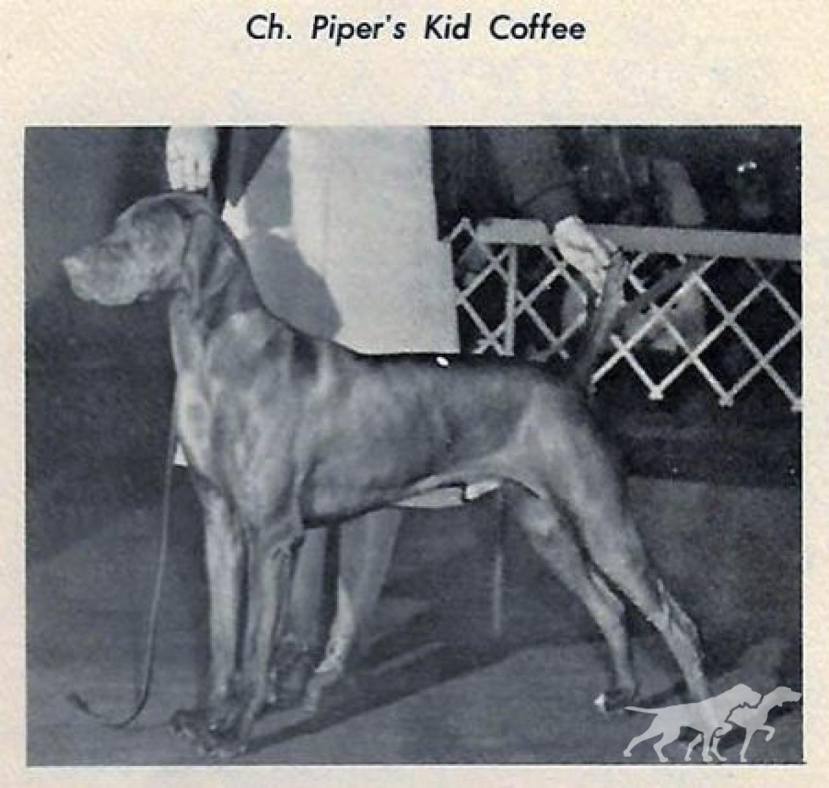 Piper's Kid Coffee