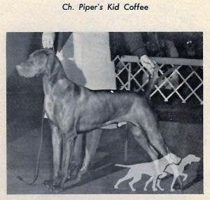 Piper's Kid Coffee
