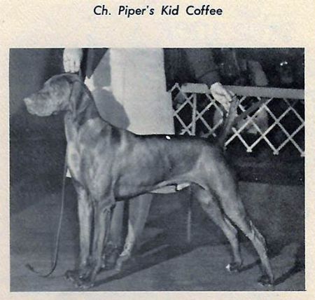 Piper's Kid Coffee