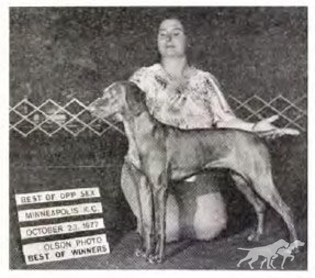 Piper's Mystical Gypsy Lady