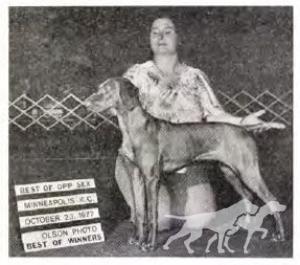 Piper's Mystical Gypsy Lady
