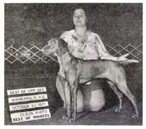 Piper's Mystical Gypsy Lady