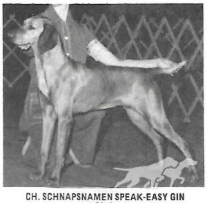 Schnapsnamen Speak-Easy Gin *