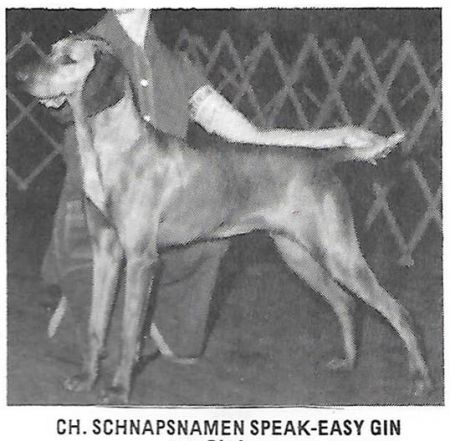 Schnapsnamen Speak-Easy Gin *