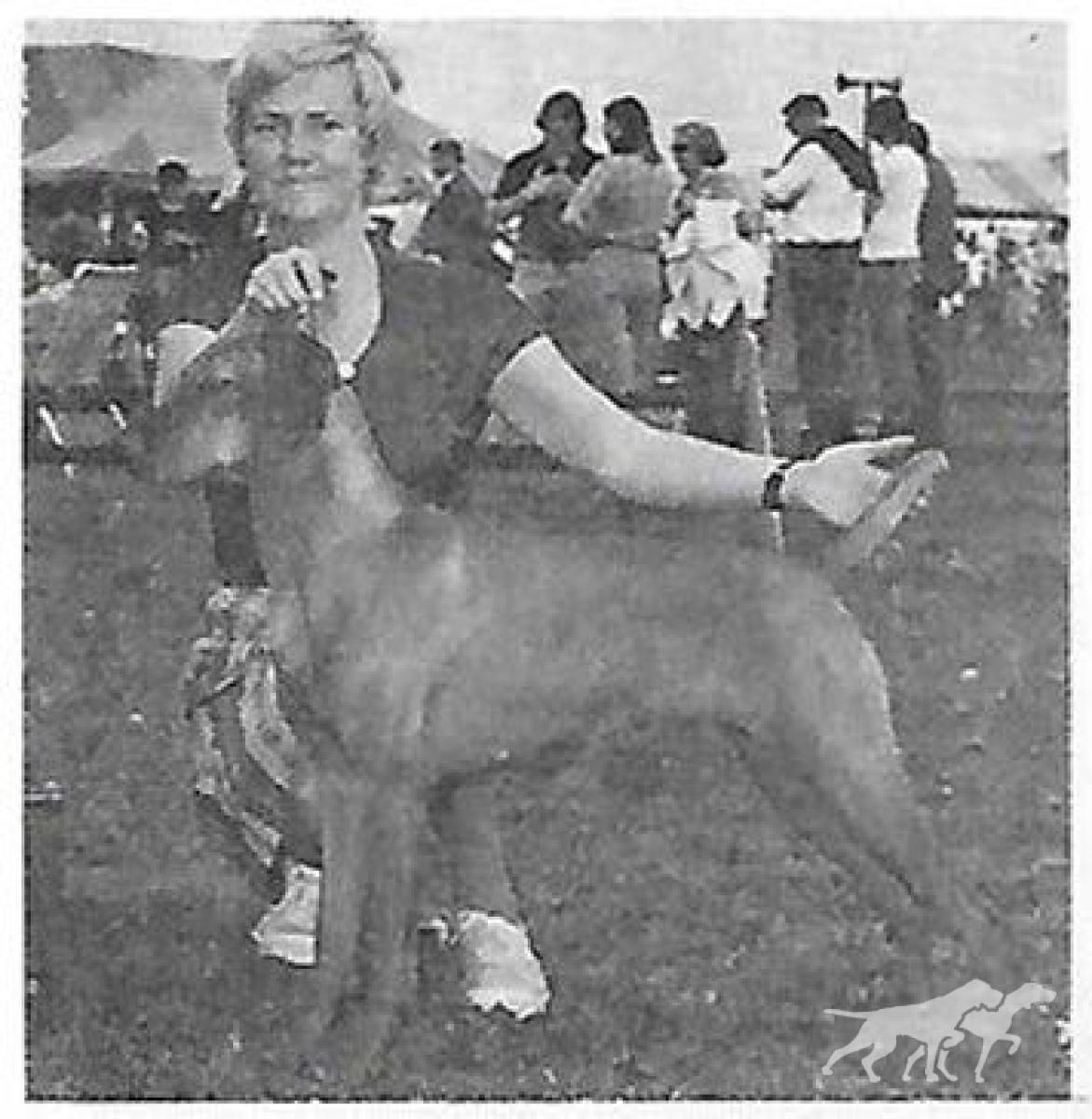 Renbrok's Greta Hegyi