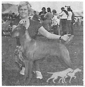 Renbrok's Greta Hegyi