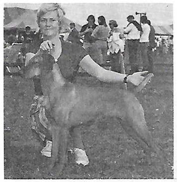Renbrok's Greta Hegyi