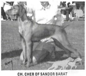 Cher Of Sandor Barat
