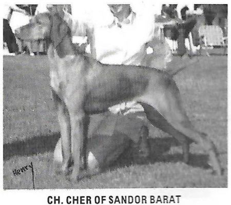 Cher Of Sandor Barat
