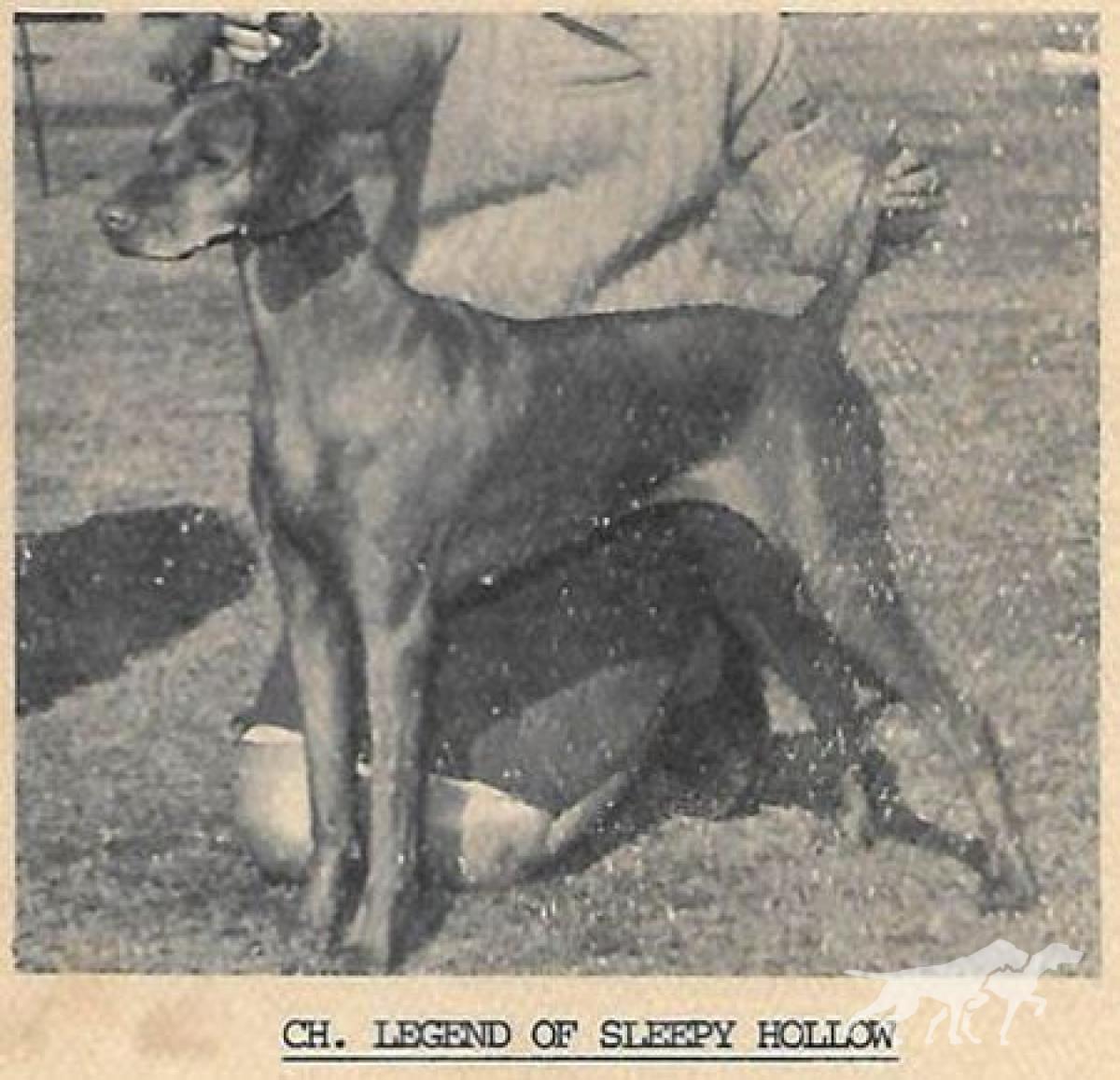 Legend Of Sleepy Hollow