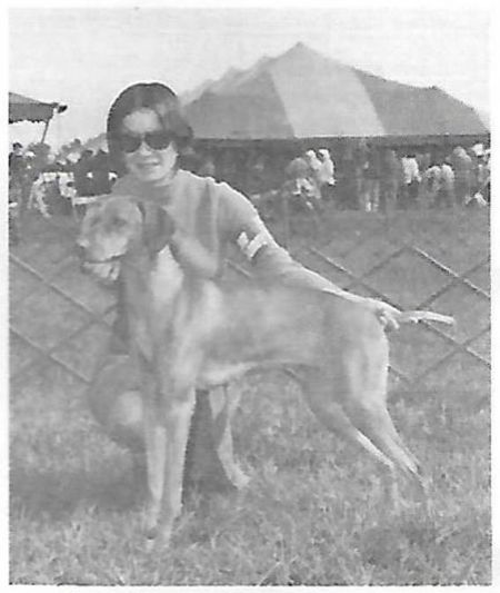 Foxsea Mama Of Totton