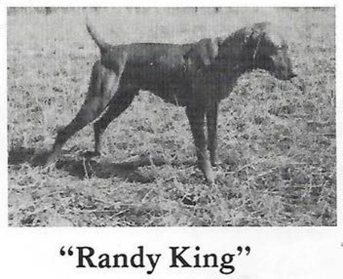 Randy King