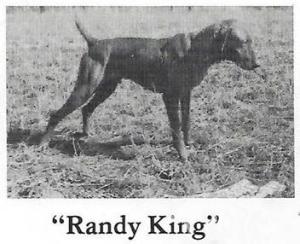 Randy King