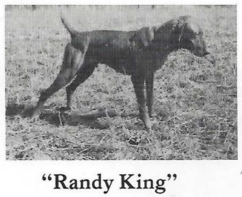 Randy King
