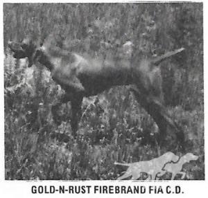 Gold-N-Rust Firebrand Fia