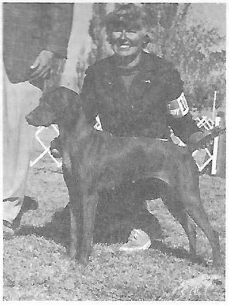 Mavam's Bronzar Diana
