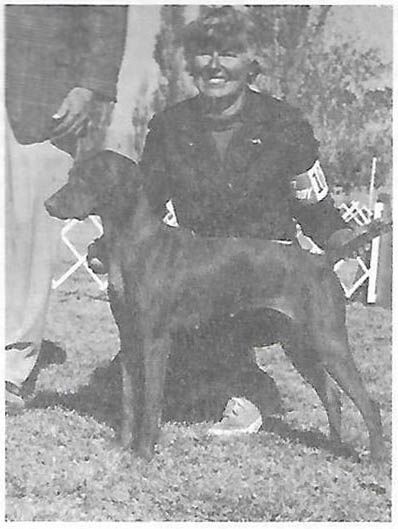 Mavam's Bronzar Diana