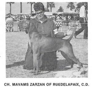 Mavams Zarzan of Ruedelapaix