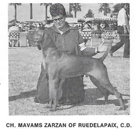 Mavams Zarzan of Ruedelapaix