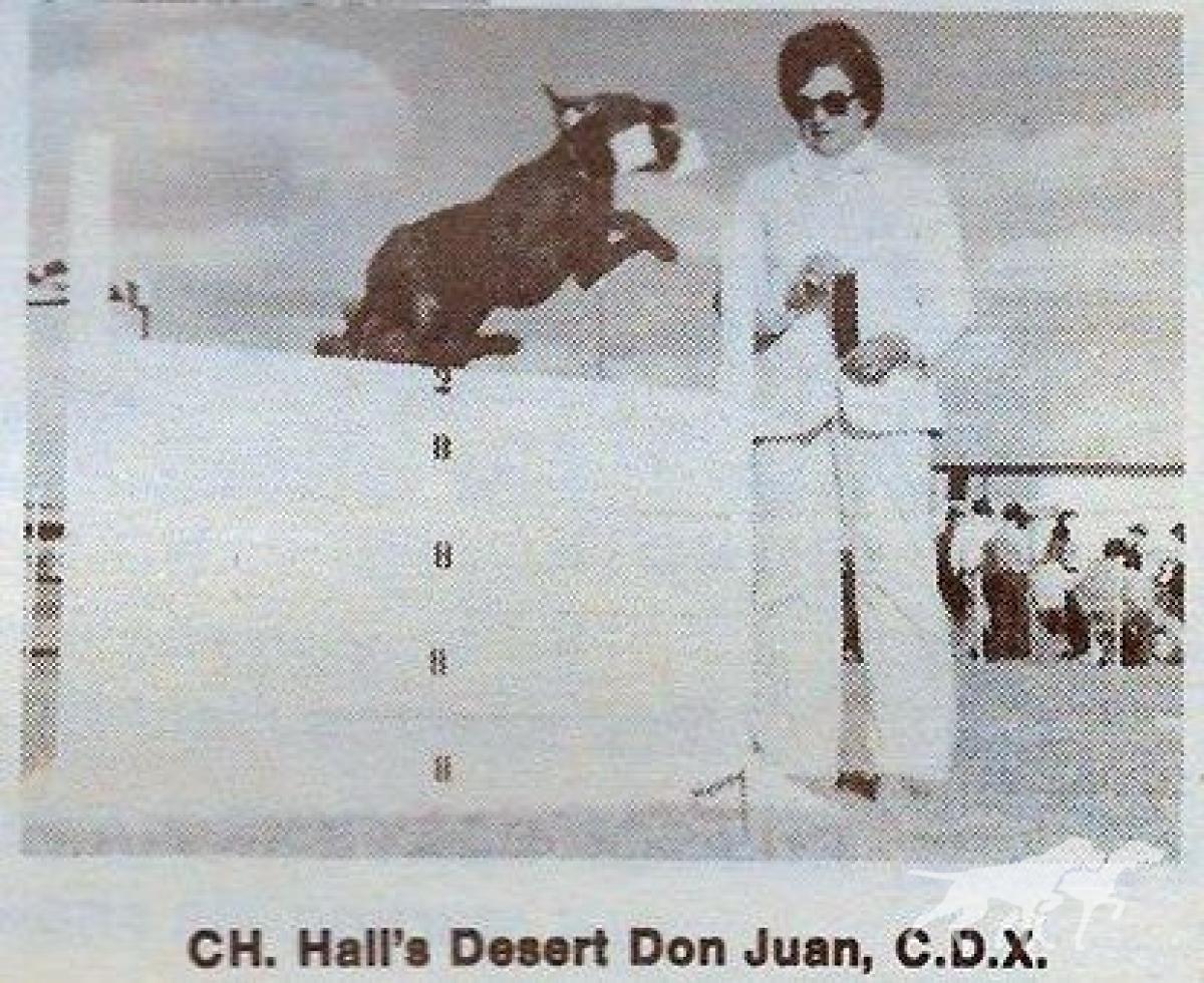 Hall's Desert Don Juan