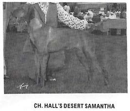 Hall's Desert Samantha
