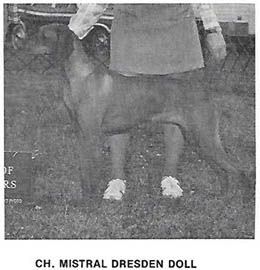 Mistral Dresden Doll