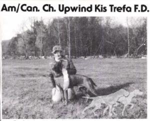 Upwind Kis Trefa