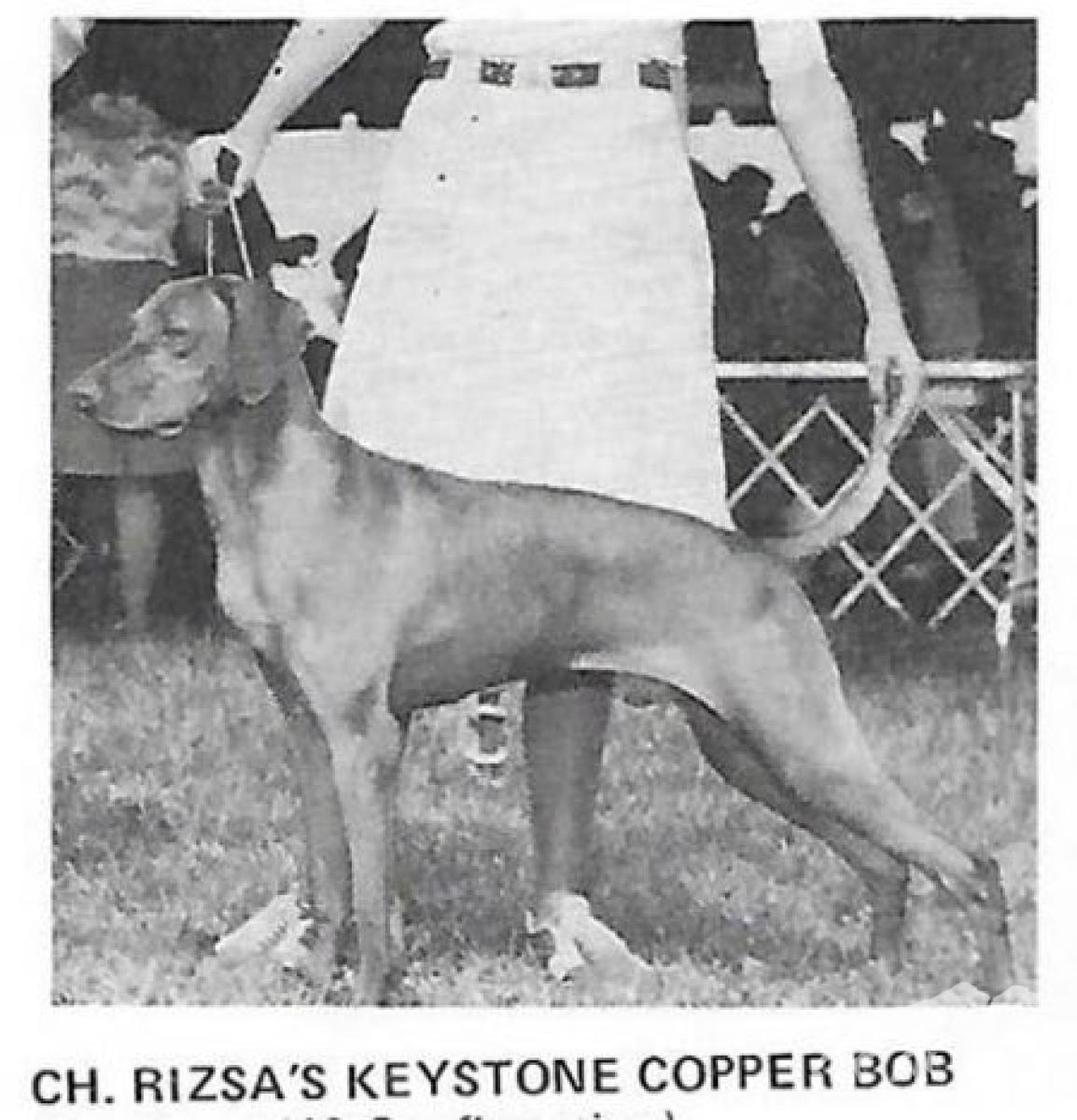 Rizsa's Keystone Copper Bob