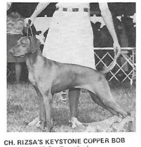 Rizsa's Keystone Copper Bob