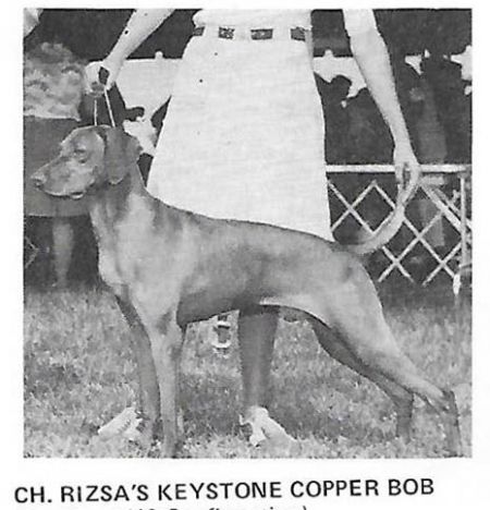 Rizsa's Keystone Copper Bob