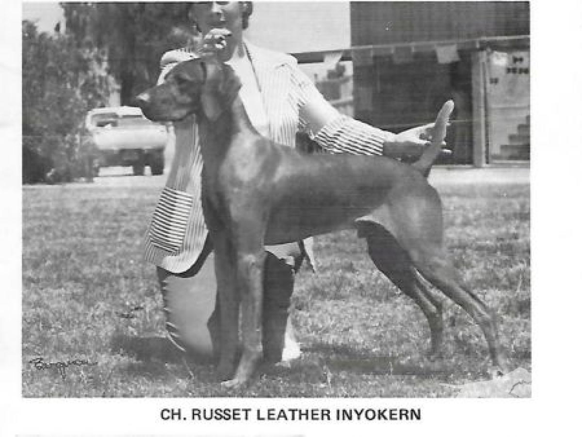 Russet Leather Inyo Kern