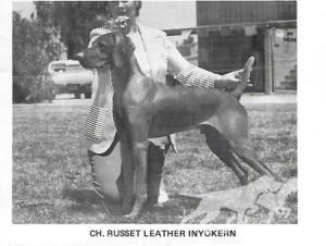 Russet Leather Inyo Kern