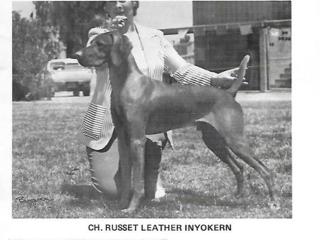 Russet Leather Inyo Kern