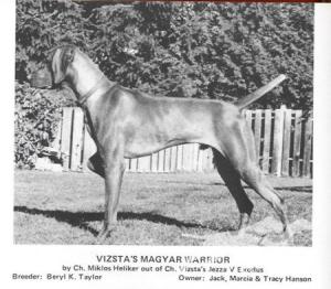 Vizsta's Magyar Warrior
