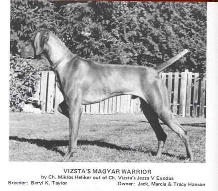 Vizsta's Magyar Warrior