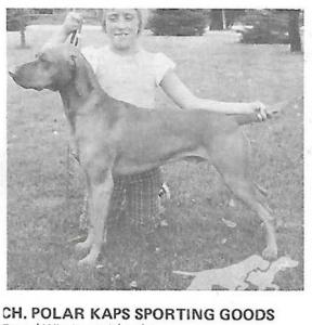 Polar Kaps Sporting Goods