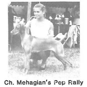 Mehagian's Pep Rally
