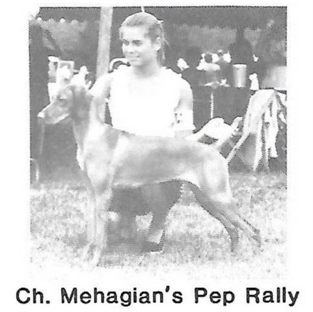 Mehagian's Pep Rally