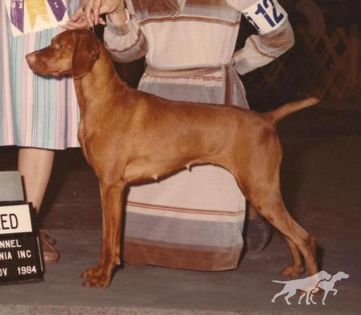 Heather Bey Of Bethwood