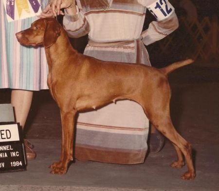 Heather Bey Of Bethwood
