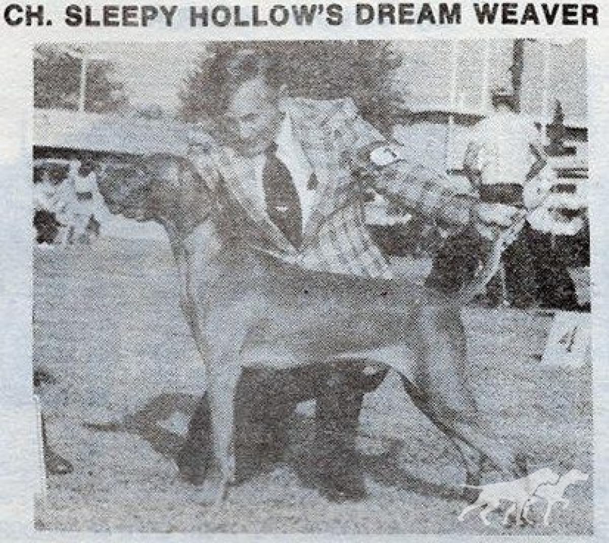 Sleepy Hollow Dream Weaver
