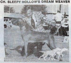 Sleepy Hollow Dream Weaver