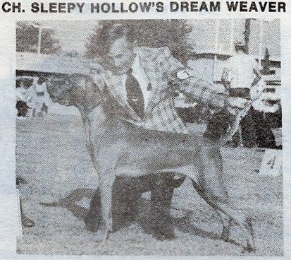 Sleepy Hollow Dream Weaver
