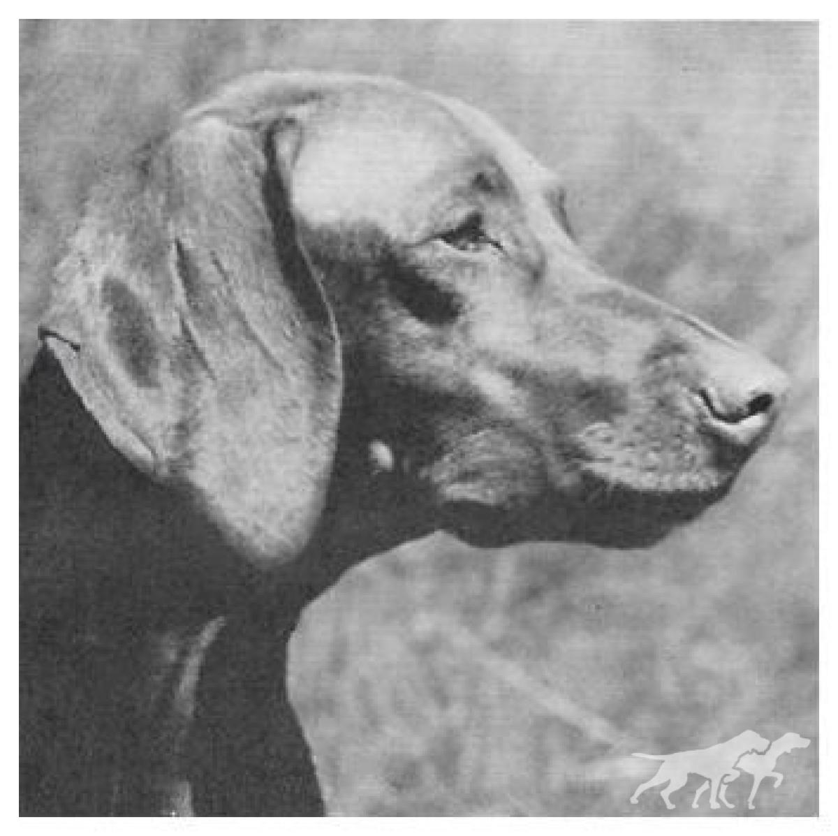 Brown's Bronze Obisi