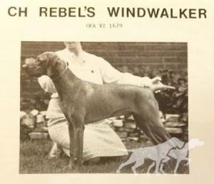 Rebel's Windwalker