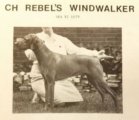 Rebel's Windwalker