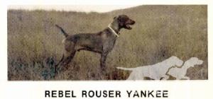 Rebel Rouser Yankee