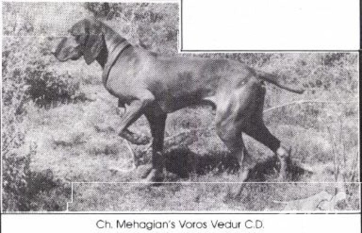 Mehagian's Voros Vedur