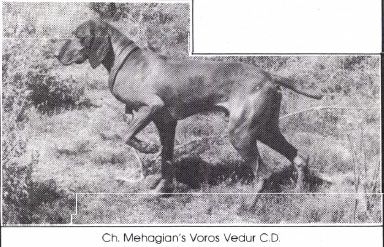 Mehagian's Voros Vedur